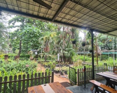 Mr Farmer – Garden service, Plant Nursery, Landscape Designer – Online Gardeners in North Goa