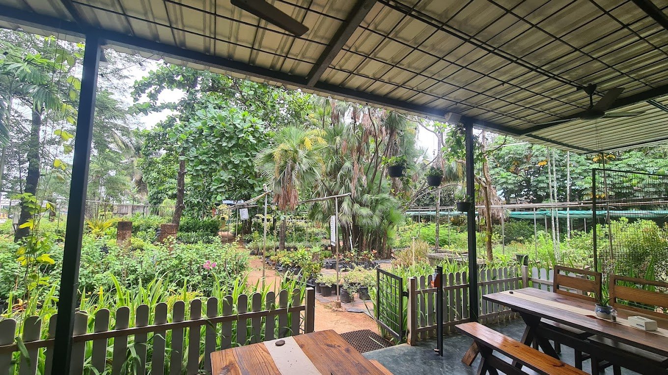 Mr Farmer – Garden service, Plant Nursery, Landscape Designer – Online Gardeners in North Goa