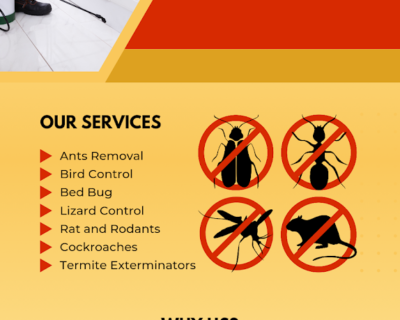 NCR – Pest Control for Residential & Commercial, Best Pest Control Service in Greater Noida, Uttar Pradesh