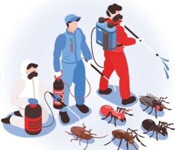 NCR - Pest Control for Residential & Commercial, Best Pest Control Service in Greater Noida, Uttar Pradesh NCR - Pest Control for Residential & Commercial, Best Pest Control Service in Greater Noida, Uttar Pradesh
