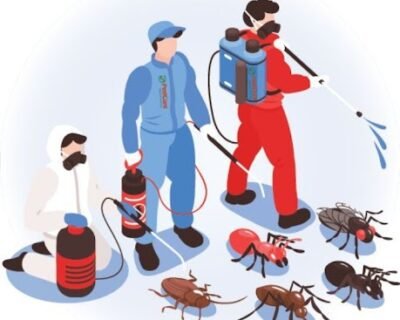 NCR – Pest Control for Residential & Commercial, Best Pest Control Service in Greater Noida, Uttar Pradesh
