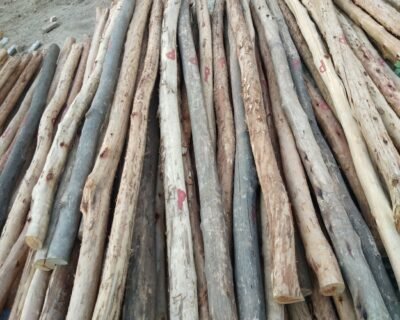 Pal Shuttering Contractors in Orai, Uttar Pradesh