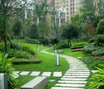 Patel Gardening Services - Plant Nursery, Landscape Designer - Online Gardeners in  Aurangabad, Maharashtra