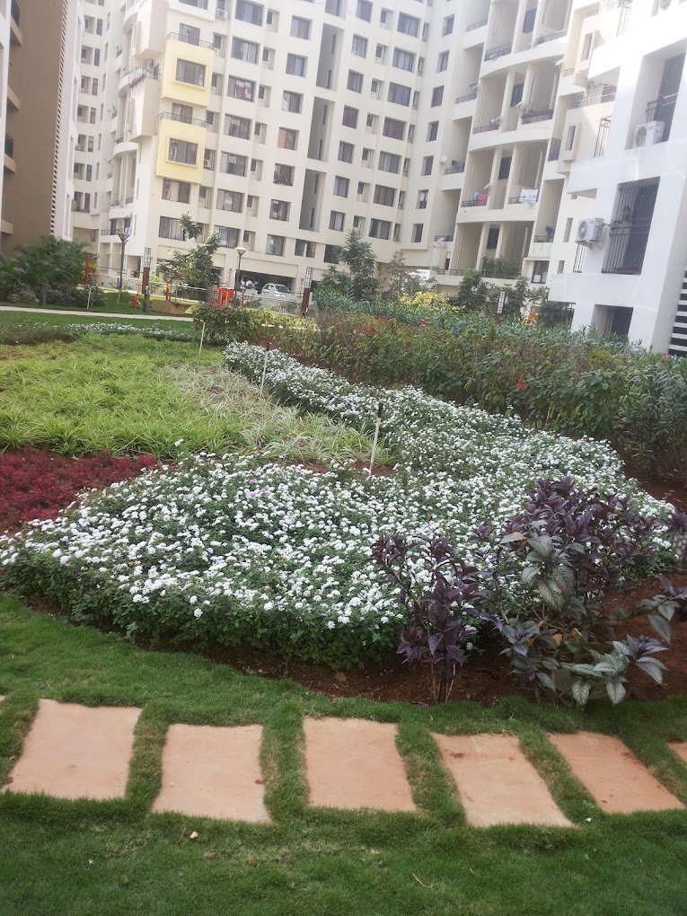 Patel Gardening Services – Plant Nursery, Landscape Designer – Online Gardeners in  Aurangabad, Maharashtra