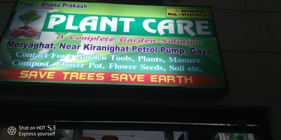 Plant Care (Bhanu Prakash), Garden service, Plant Nursery – Online Gardeners in Gaya, Bihar