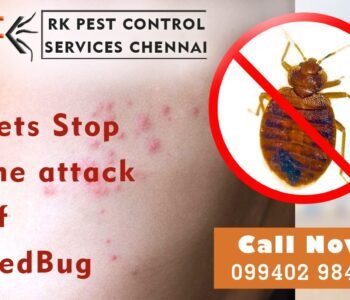 R.K - Pest Control Service for Residential & Commercial, Best Pest Control in Chennai, Tamil Nadu R.K - Pest Control Service for Residential & Commercial, Best Pest Control in Chennai, Tamil Nadu