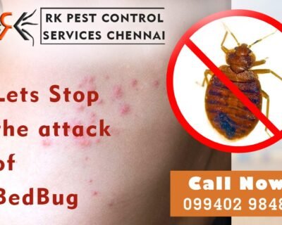 R.K-Pest-Control-Service-for-Residential-Commercial-Best-Pest-Control-in-Chennai-Tamil-Nadu-2