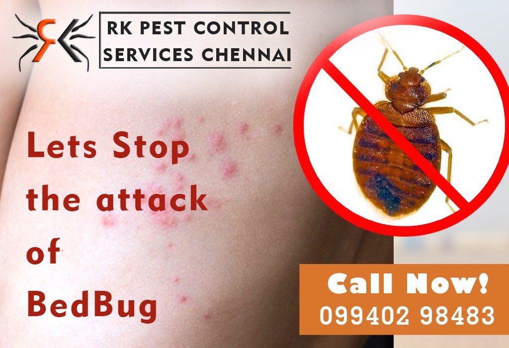 R.K – Pest Control Service for Residential & Commercial, Best Pest Control in Chennai, Tamil Nadu