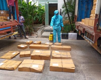 R.K – Pest Control Service for Residential & Commercial, Best Pest Control in Chennai, Tamil Nadu