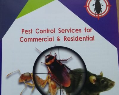 R.K – Pest Control Service for Residential & Commercial, Best Pest Control in Chennai, Tamil Nadu