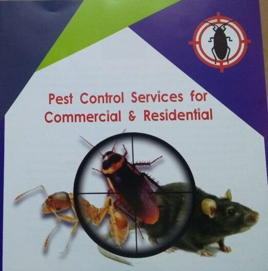 R.K – Pest Control Service for Residential & Commercial, Best Pest Control in Chennai, Tamil Nadu