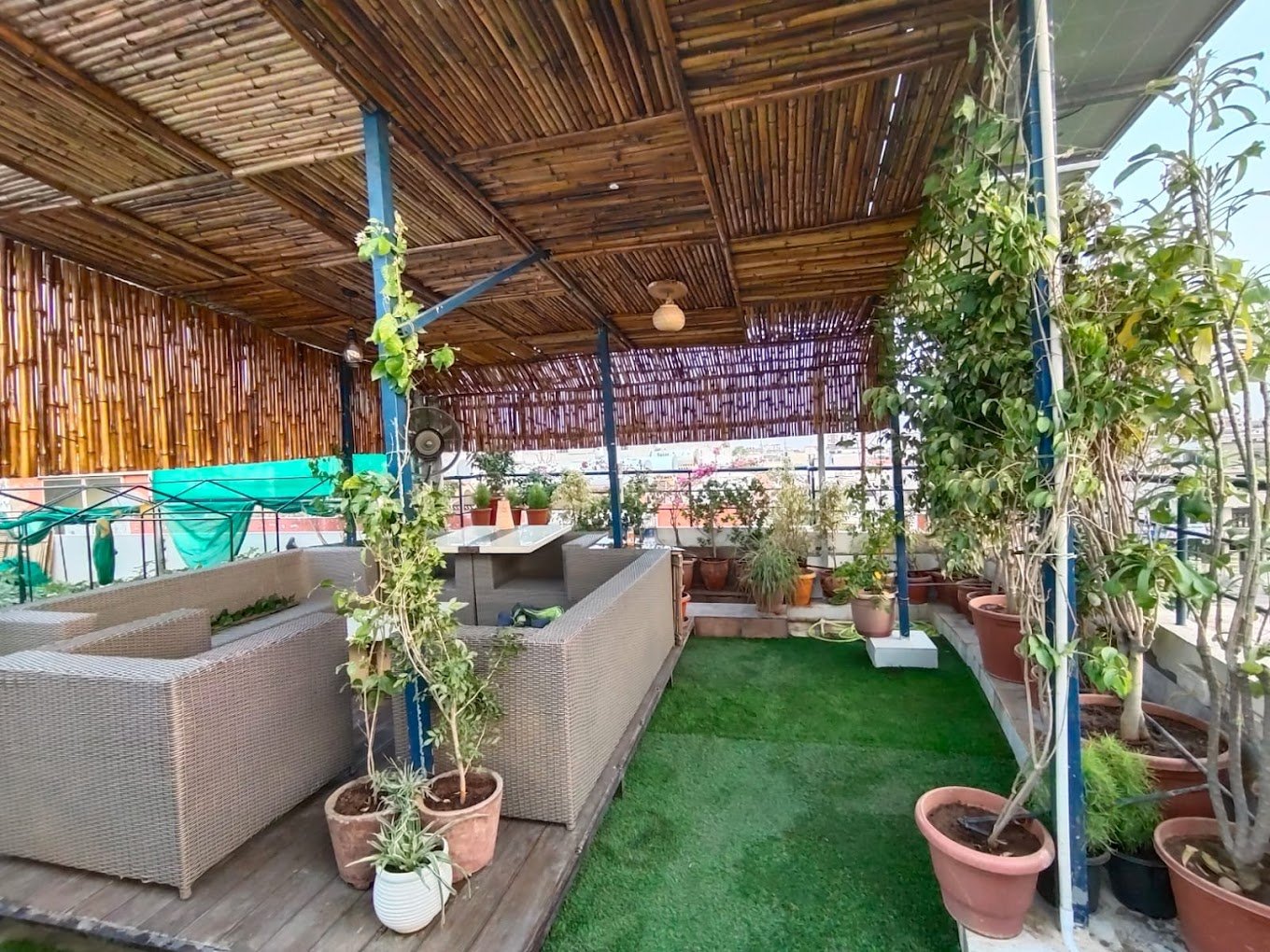 RR – Online Gardeners in Jaipur, Rajasthan