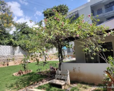 SLNS-Online-Gardeners-in-Bengaluru-Karnataka-