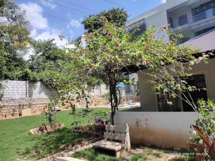 SLNS – Online Gardeners in Bengaluru, Karnataka