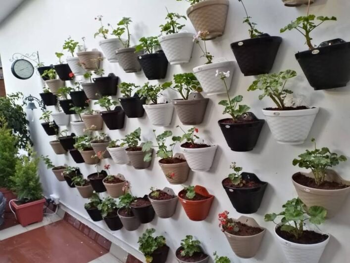 SLNS – Online Gardeners in Bengaluru, Karnataka