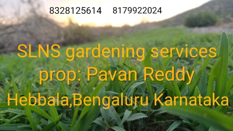 SLNS – Online Gardeners in Bengaluru, Karnataka