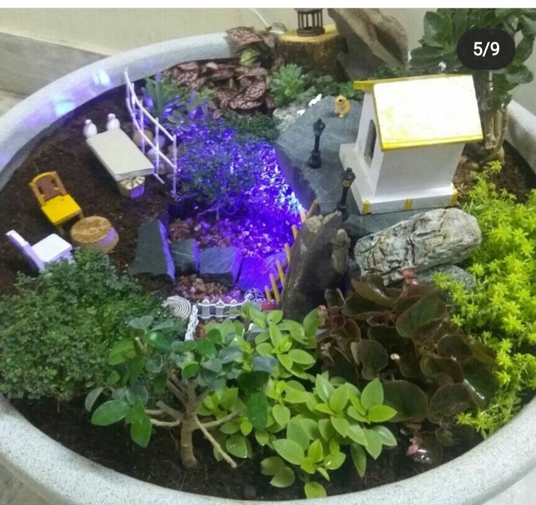 SSV – Garden service, Plant Nursery, Landscape Designer – Online Gardeners in Visakhapatnam, Andhra Pradesh