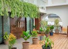 SSV – Garden service, Plant Nursery, Landscape Designer – Online Gardeners in Visakhapatnam, Andhra Pradesh