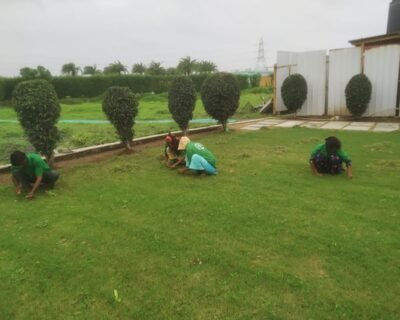 Sanjay N Salat Garden service, Landscape Designer – Online Gardeners in Surat, Gujarat