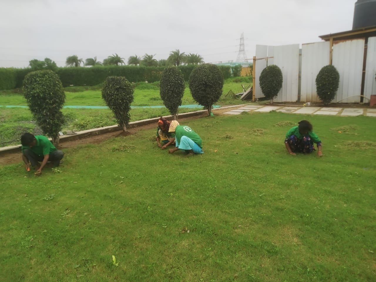 Sanjay N Salat Garden service, Landscape Designer – Online Gardeners in Surat, Gujarat