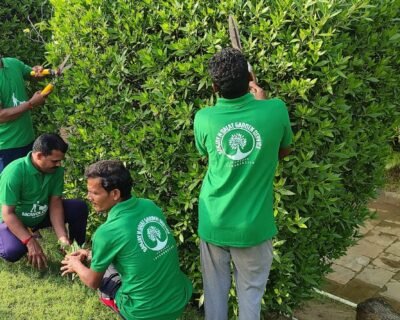 Sanjay N Salat Garden service, Landscape Designer – Online Gardeners in Surat, Gujarat