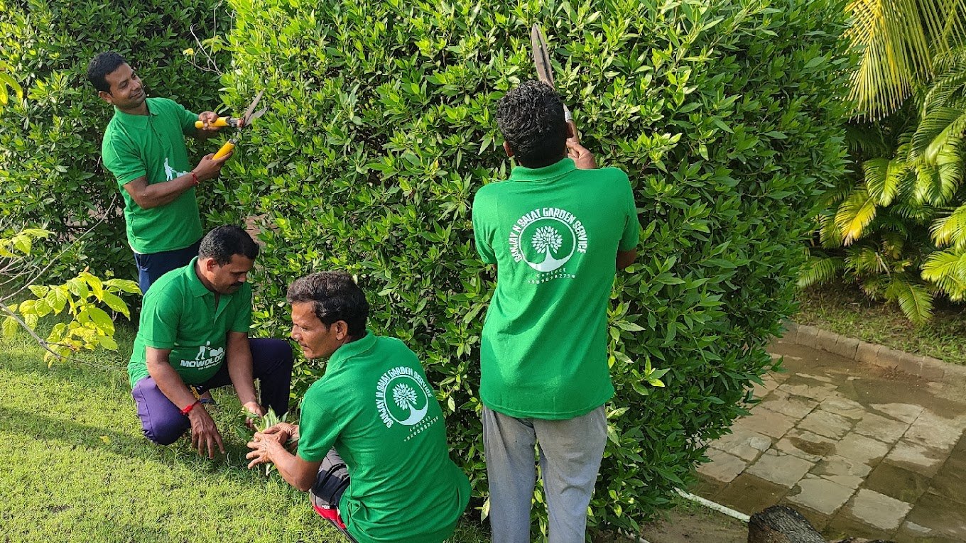 Sanjay N Salat Garden service, Landscape Designer – Online Gardeners in Surat, Gujarat