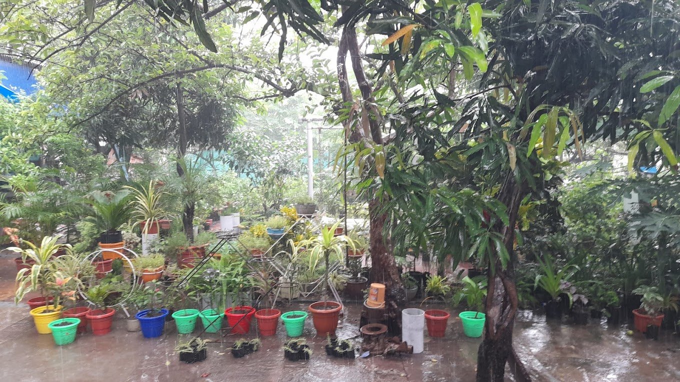 Shiva – Garden service, Plant Nursery – Online Gardeners in Sagar, Madhya Pradesh