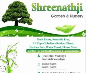 Shree Nathji - Garden service, Plant Nursery, Landscape Designer –  Online Gardeners in Rajkot, Gujarat