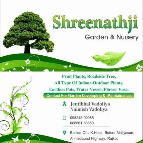Shree Nathji – Garden service, Plant Nursery, Landscape Designer –  Online Gardeners in Rajkot, Gujarat