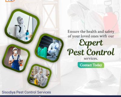 Sisodiya Pest Control for Residential & Commercial, Best Pest Control Service in Jaipur, Rajasthan