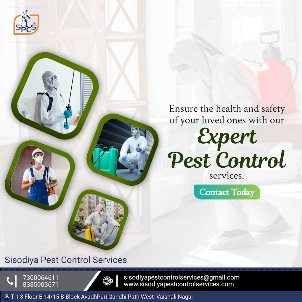 Sisodiya Pest Control for Residential & Commercial, Best Pest Control Service in Jaipur, Rajasthan