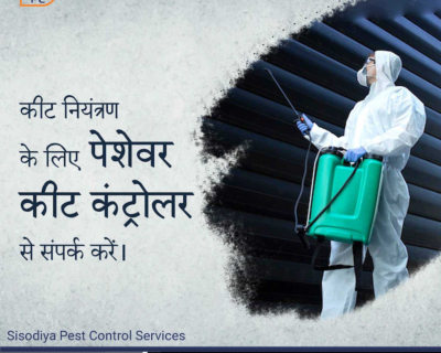 Sisodiya Pest Control for Residential & Commercial, Best Pest Control Service in Jaipur, Rajasthan
