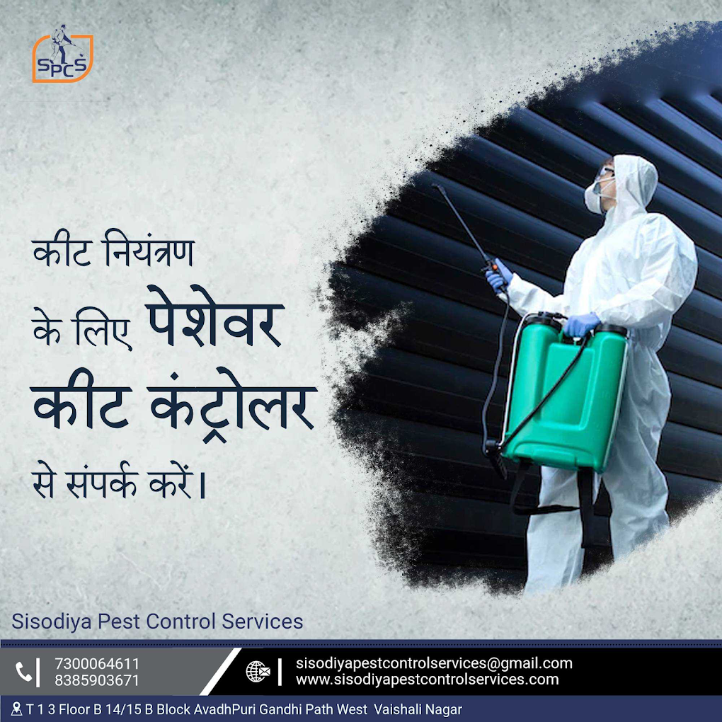 Sisodiya Pest Control for Residential & Commercial, Best Pest Control Service in Jaipur, Rajasthan