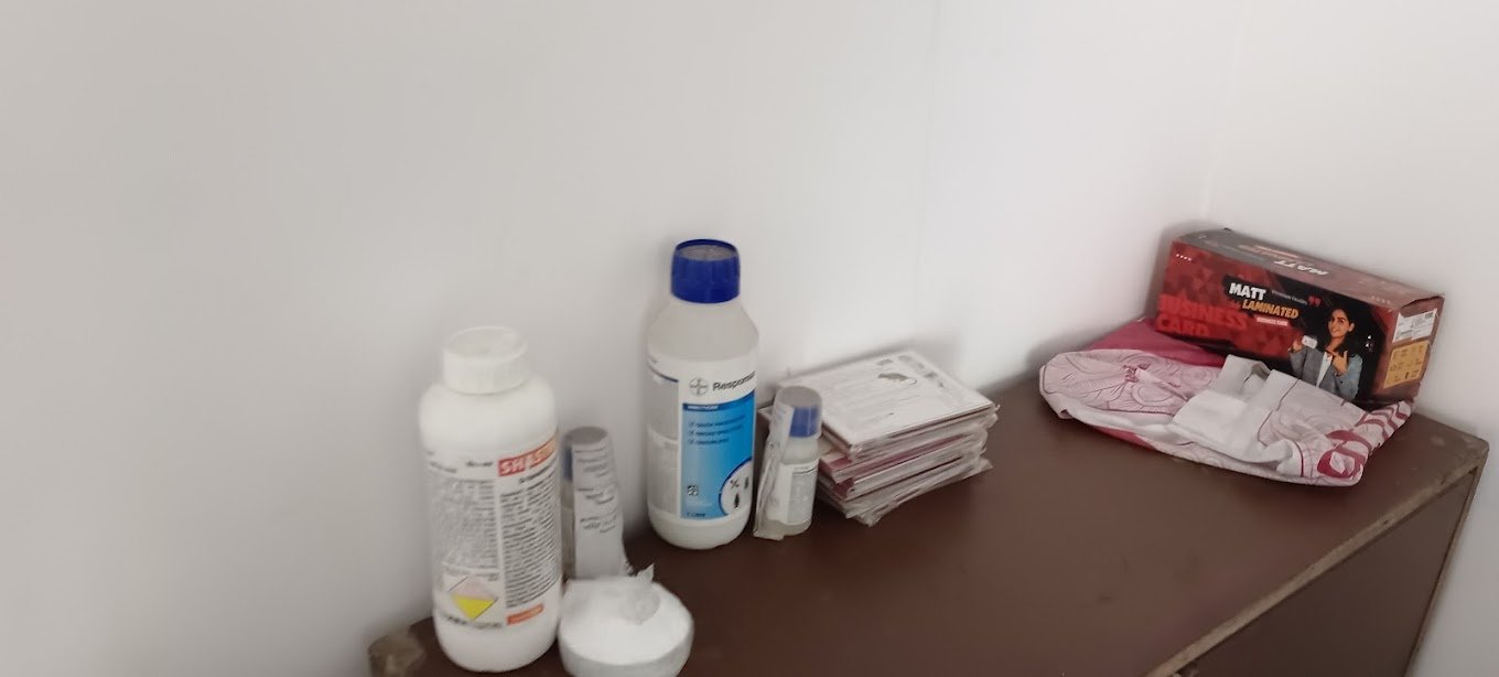 Sisodiya Pest Control for Residential & Commercial, Best Pest Control Service in Jaipur, Rajasthan