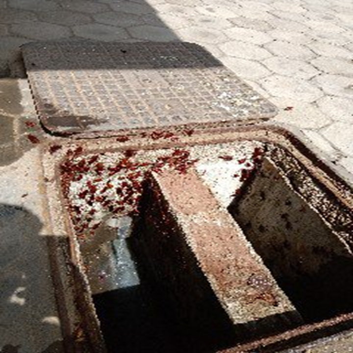 Smash – Pest Control for Residential & Commercial, Best Pest Control Service in Coimbatore, Tamil Nadu