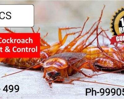 Sudiksha – Pest Control for Residential & Commercial, Best Pest Control Service in Faridabad, Haryana