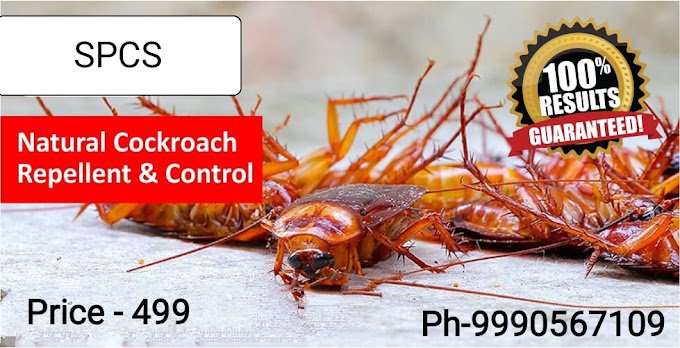 Sudiksha – Pest Control for Residential & Commercial, Best Pest Control Service in Faridabad, Haryana
