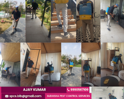 Sudiksha – Pest Control for Residential & Commercial, Best Pest Control Service in Faridabad, Haryana