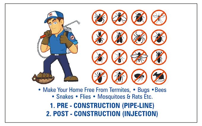 Sudiksha – Pest Control for Residential & Commercial, Best Pest Control Service in Faridabad, Haryana