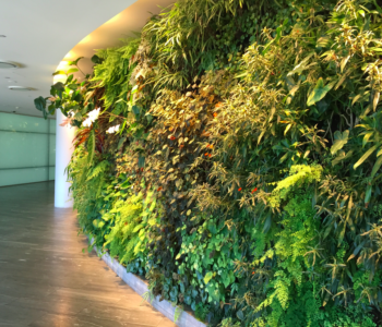 Valencia Greens Catch - Online Gardeners in Noida, Uttar Pradesh Valencia Greens Catch - Online Gardeners in Noida, Uttar Pradesh