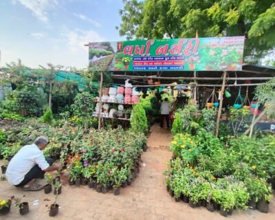 Varsha Nursery – Online Gardeners in Ahmedabad, Gujarat