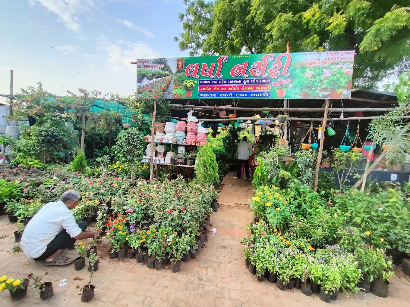 Varsha Nursery – Online Gardeners in Ahmedabad, Gujarat