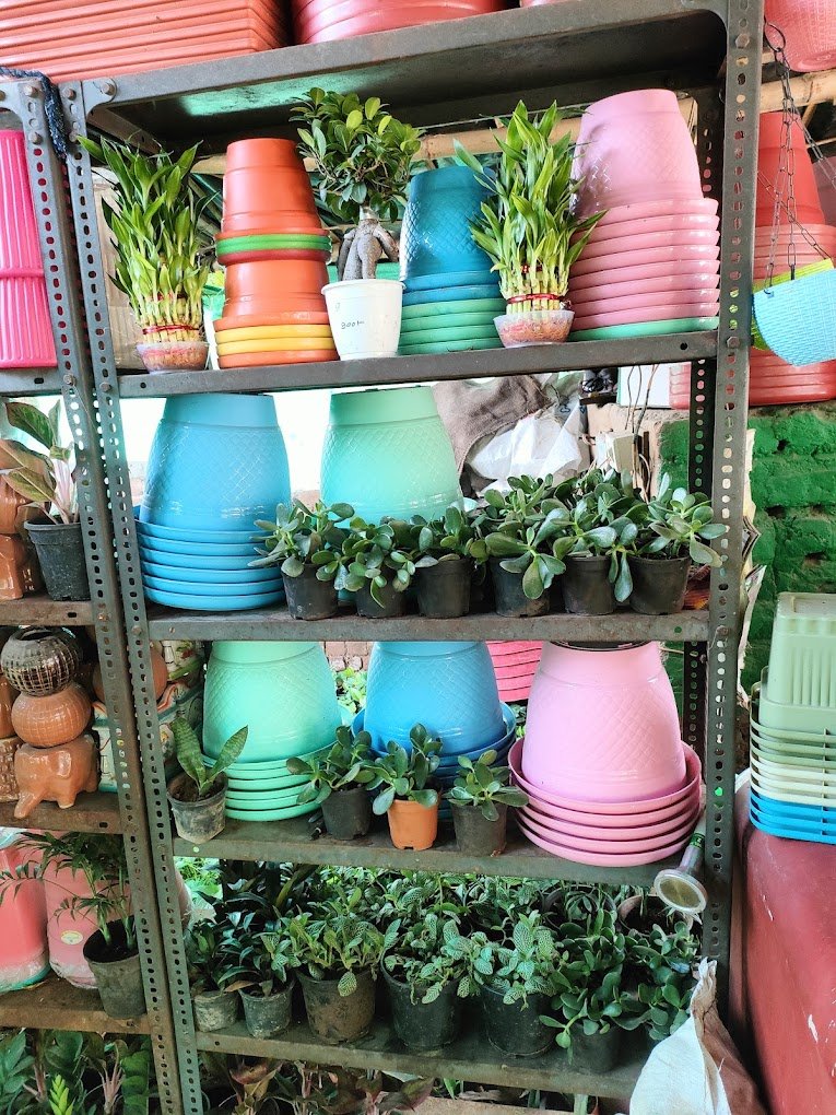 Varsha Nursery – Online Gardeners in Ahmedabad, Gujarat