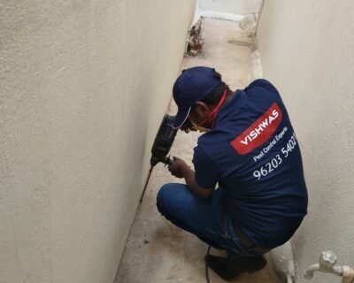 Vishwas – Pest Control for Residential & Commercial, Best Pest Control Service in Bengaluru, Karnataka
