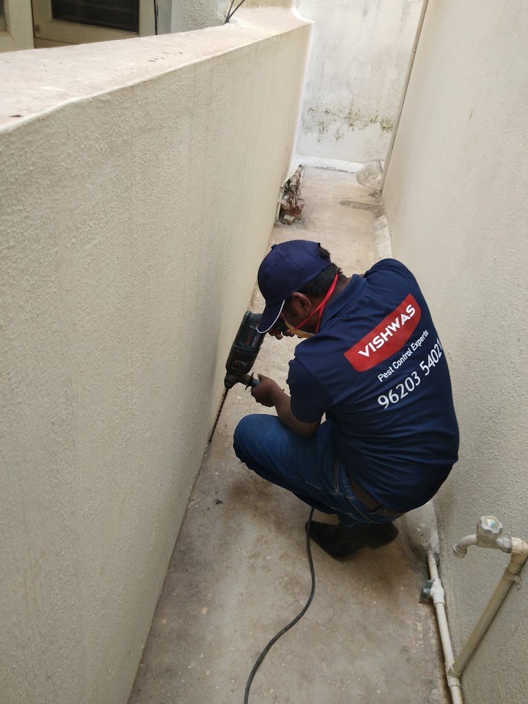 Vishwas – Pest Control for Residential & Commercial, Best Pest Control Service in Bengaluru, Karnataka