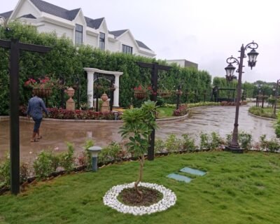 Vishwkarma – Garden service, Plant Nursery, Landscape Designer – Online Gardeners in Indore, Madhya Pradesh