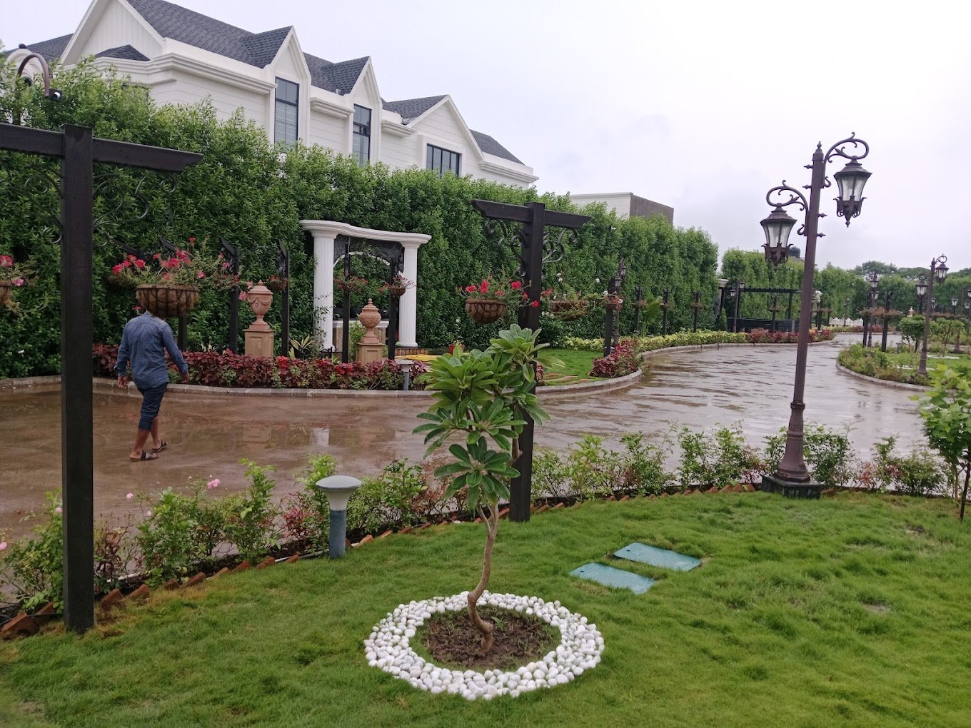 Vishwkarma – Garden service, Plant Nursery, Landscape Designer – Online Gardeners in Indore, Madhya Pradesh