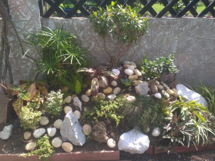 Vishwkarma – Garden service, Plant Nursery, Landscape Designer – Online Gardeners in Indore, Madhya Pradesh