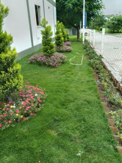 Vishwkarma – Garden service, Plant Nursery, Landscape Designer – Online Gardeners in Indore, Madhya Pradesh