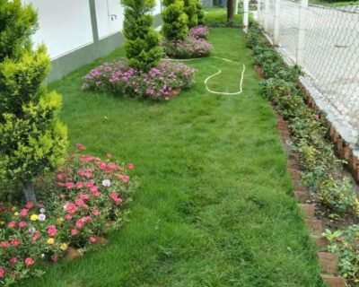 Vishwkarma – Garden service, Plant Nursery, Landscape Designer – Online Gardeners in Indore, Madhya Pradesh